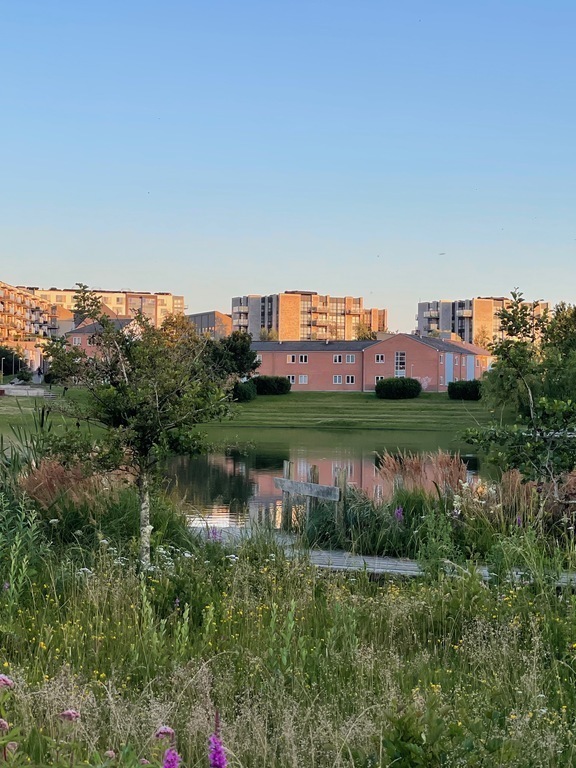 Lejligheden set fra søen