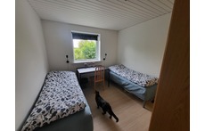 Secondary bedroom 