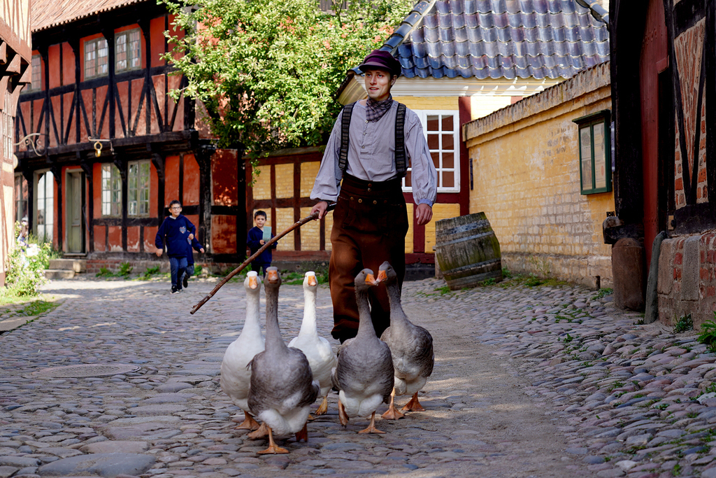 The old town (Den gamle by) - (City of Aarhus - 40 km)