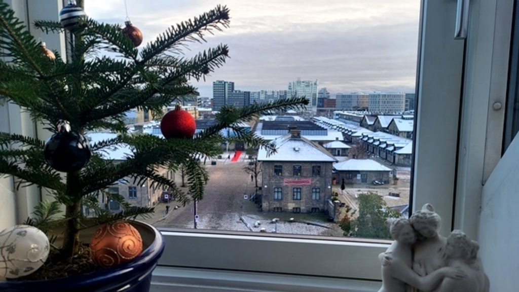 Aussicht vom Wohnzimmer