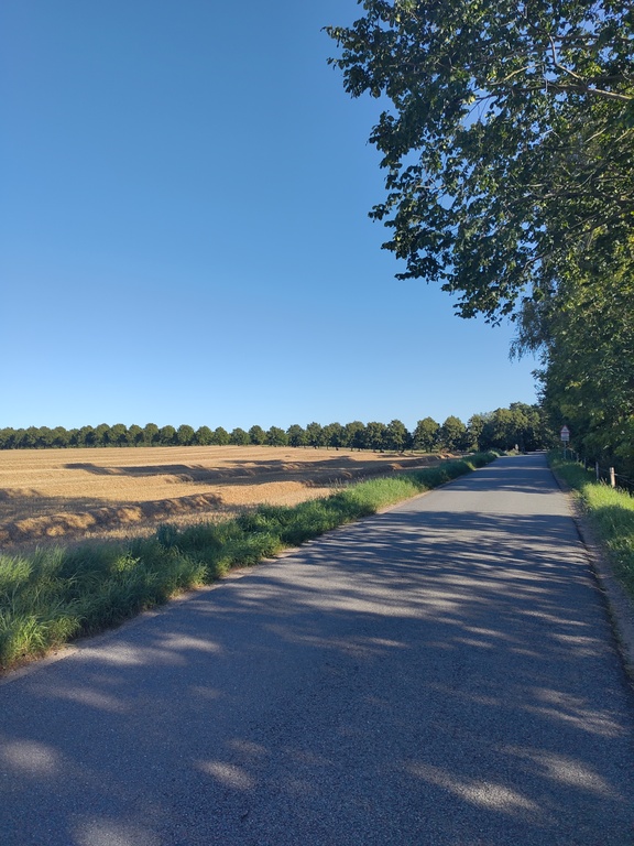 wonderful biking possibilities