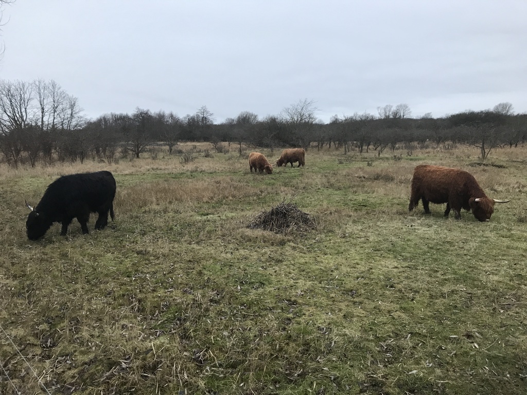 Just about 10 min. walk from our home