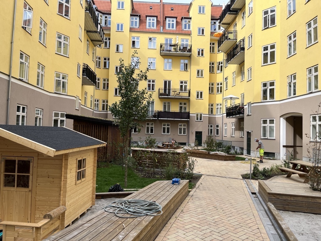 The backyard from the opperside