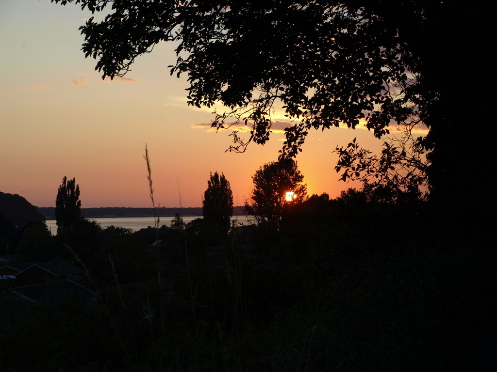 footpath to the fiord - right from our house