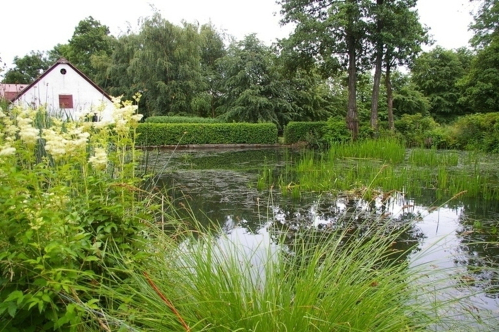 Garden pond