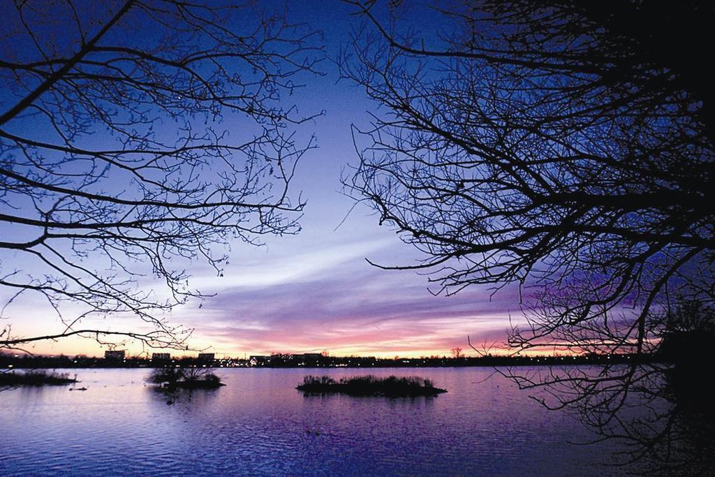 the lake 'Damhussøen'- it's a lovely place for walking, cycling or having an ice cream 