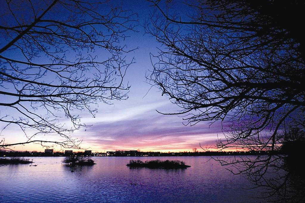 the lake 'Damhussøen'- it's a lovely place for walking, cycling or having an ice cream 
