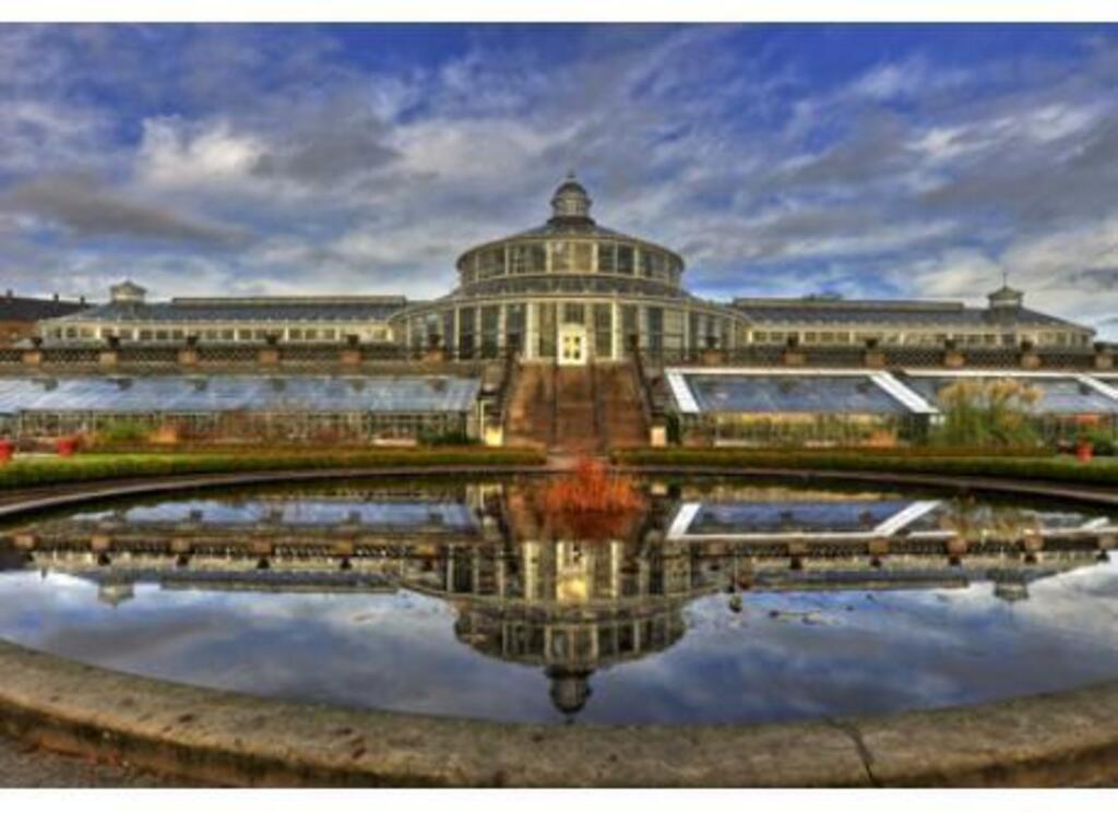 The botanical garden