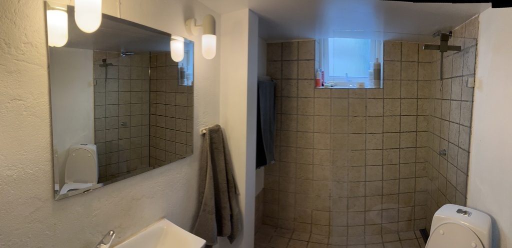 Bathroom in the basement 