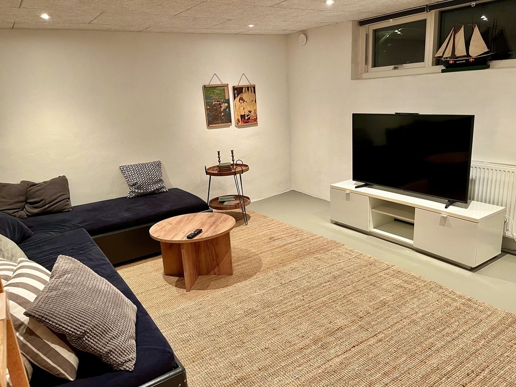 TV room basement (2 x 90 cm beds)