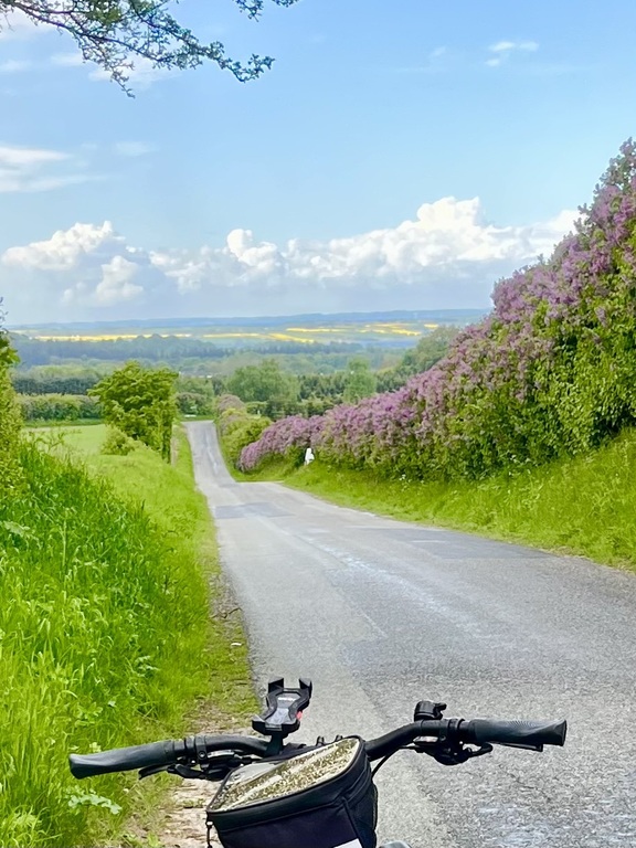 Biking the hills of south of Fyn