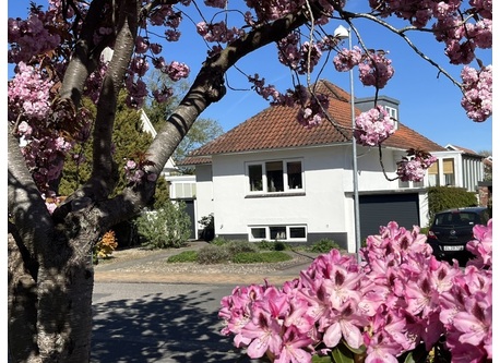 Spring and cherry blossoms make our house look even nicer 