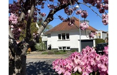 Spring and cherry blossoms make our house look even nicer 