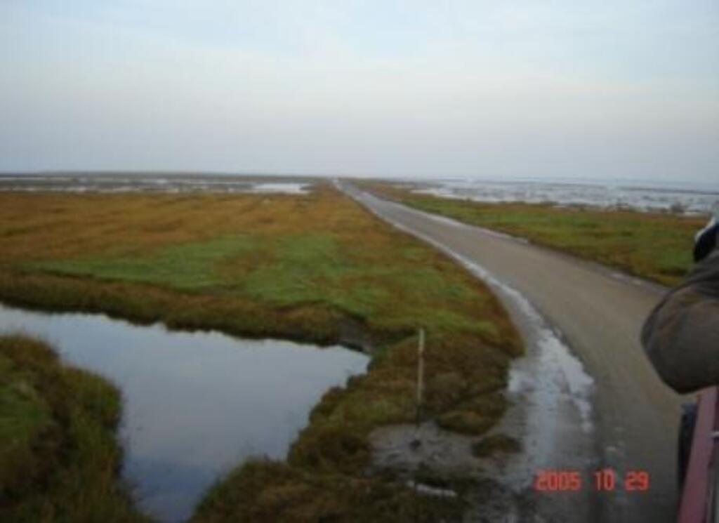 Marschland South of Esbjerg