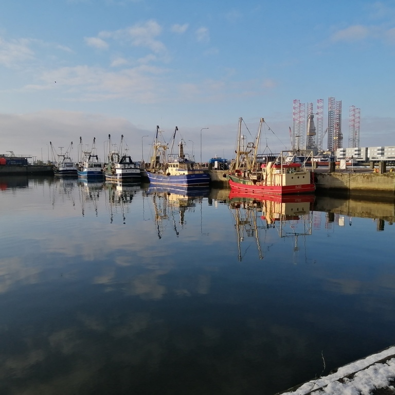 At the harbour on a nice day