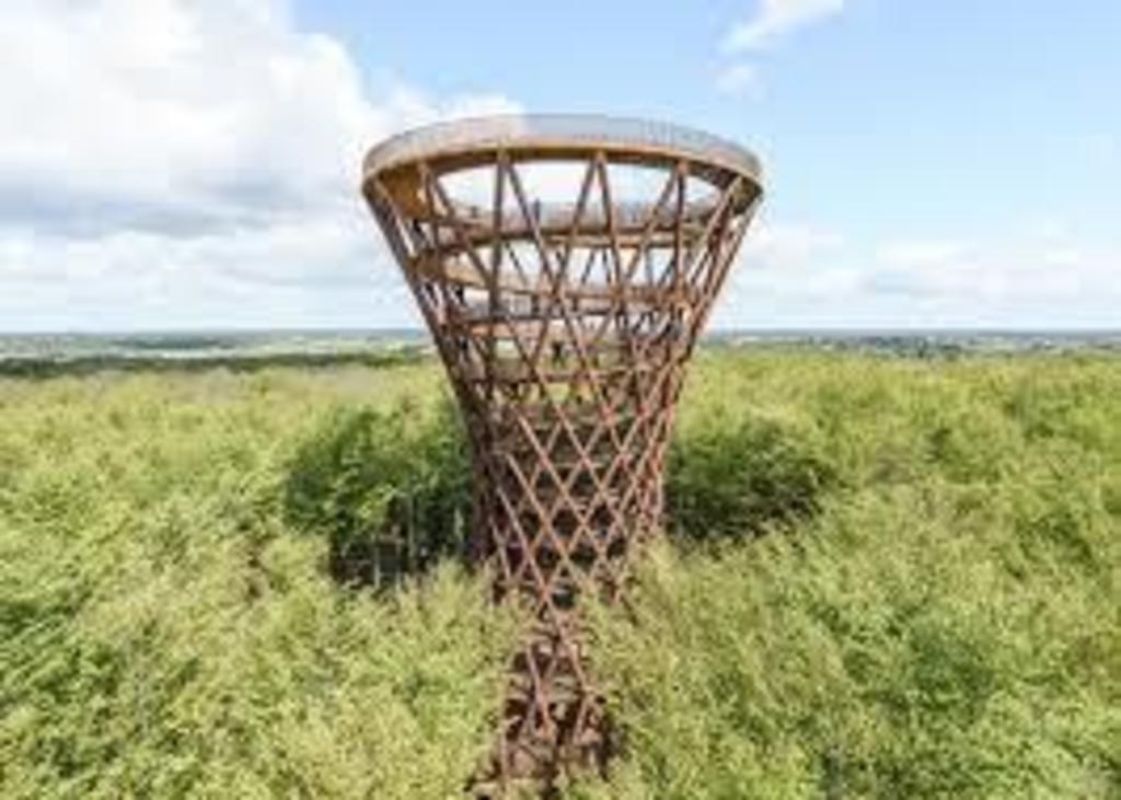 Camp adventure - 7 min from the house Great place with a Big tower in the Woods - beautiful walk in the forrest to get  there.