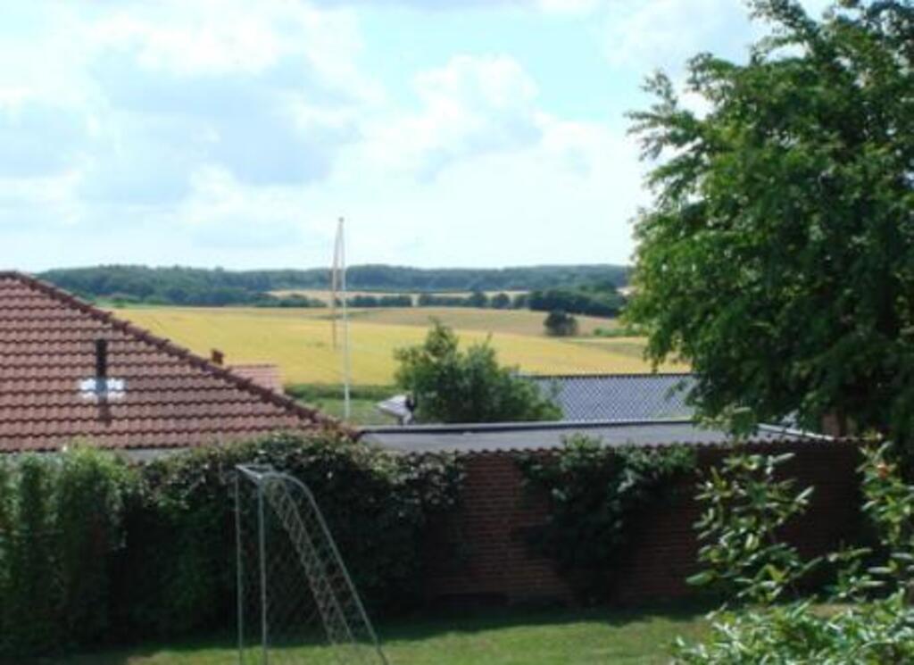 View from the garden.