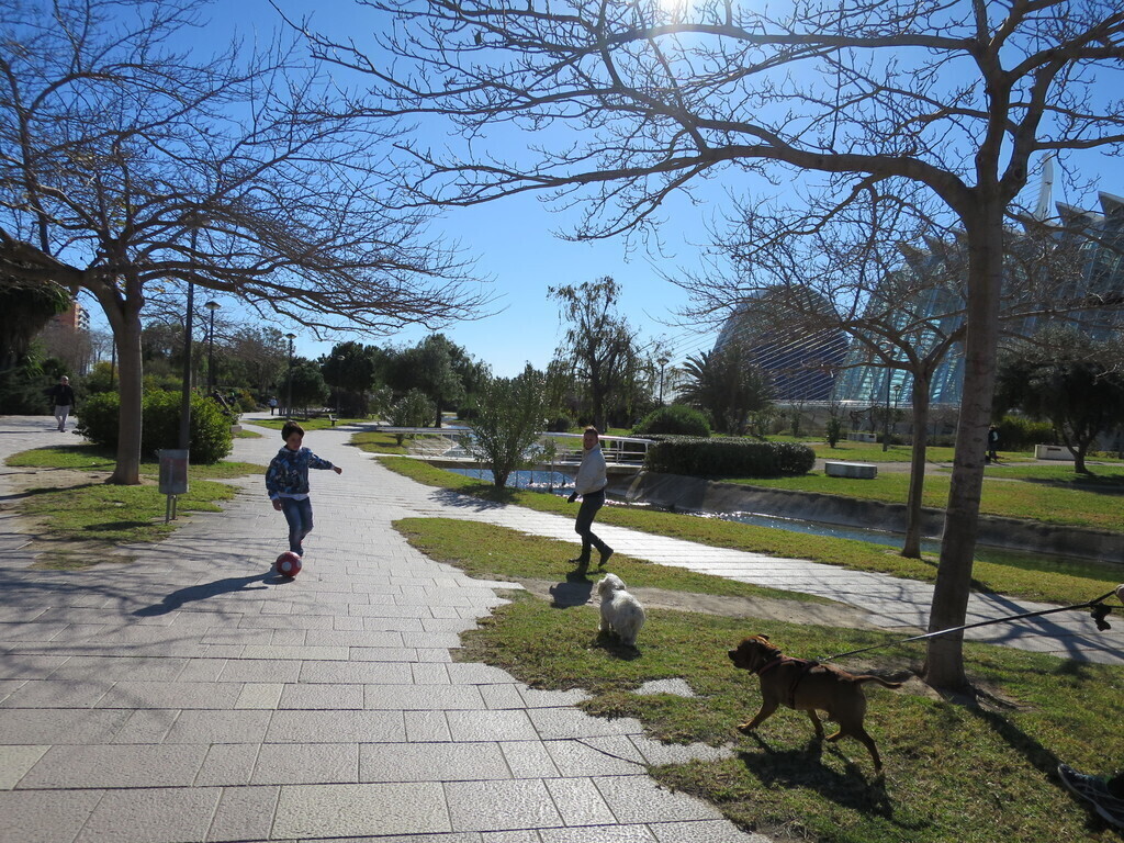 el jardin del turia, a very big park in the city where to relax 