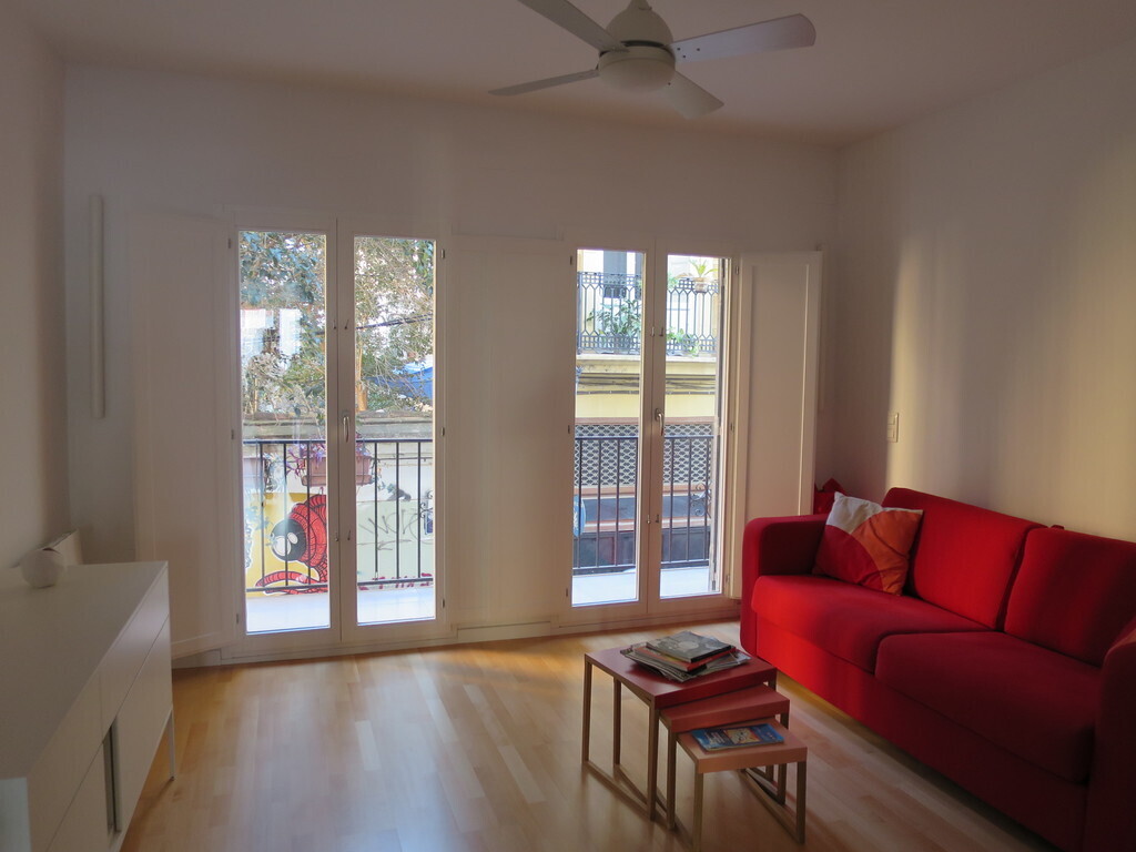 living room or second bedroom (sofa bed)