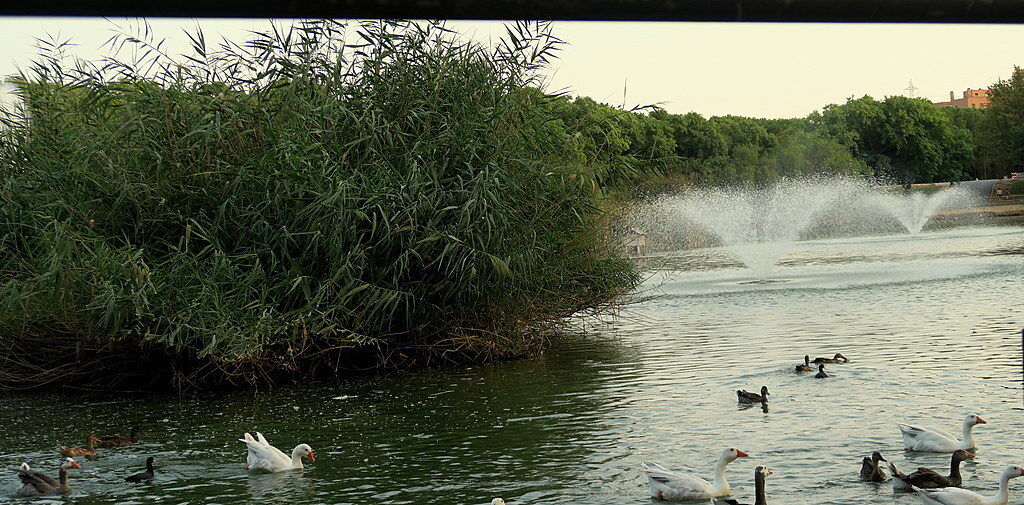 parc miraflores at 5 minutes walking