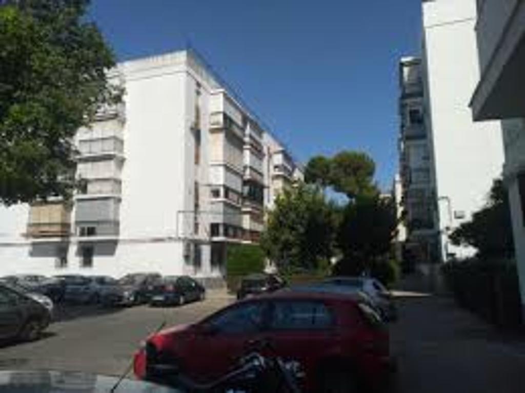 Campos de soria, our neighbourhood