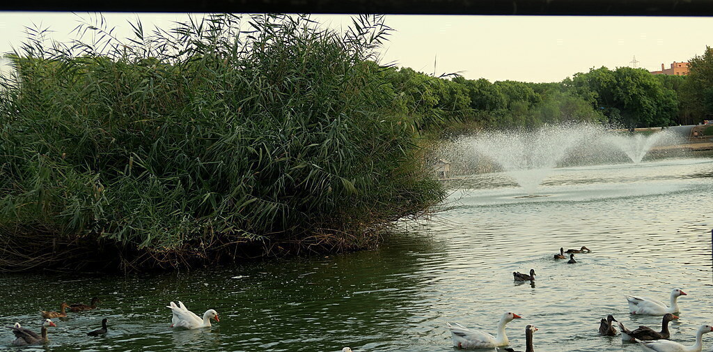 parc miraflores at 5 minutes walking