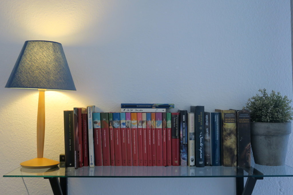 detail of the living room 