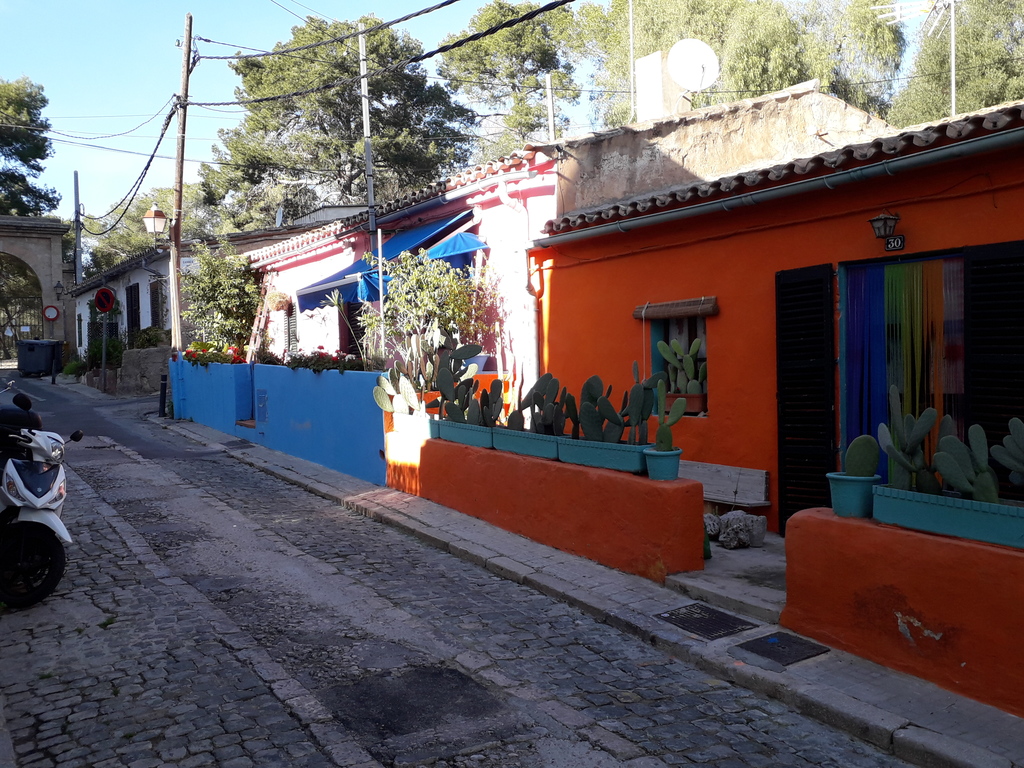 Houses opposite our building