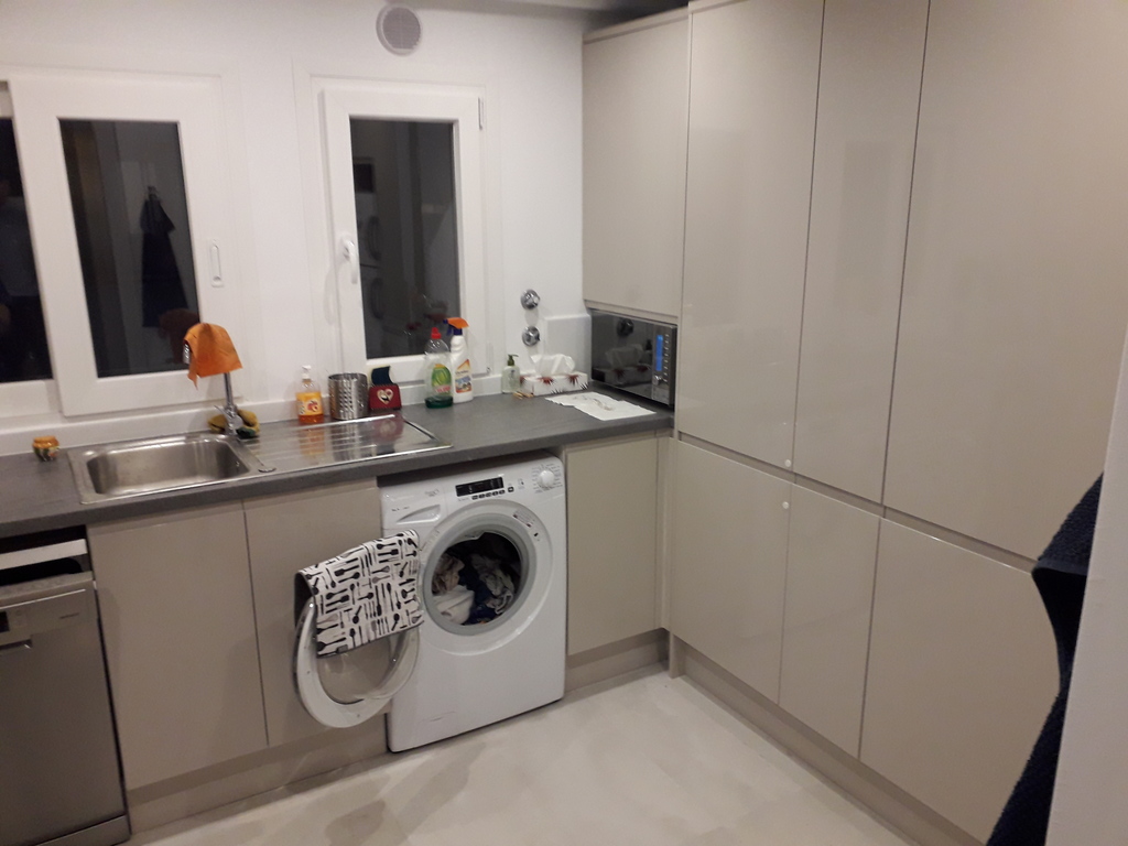 The kitchen (2): washing machine, microwave