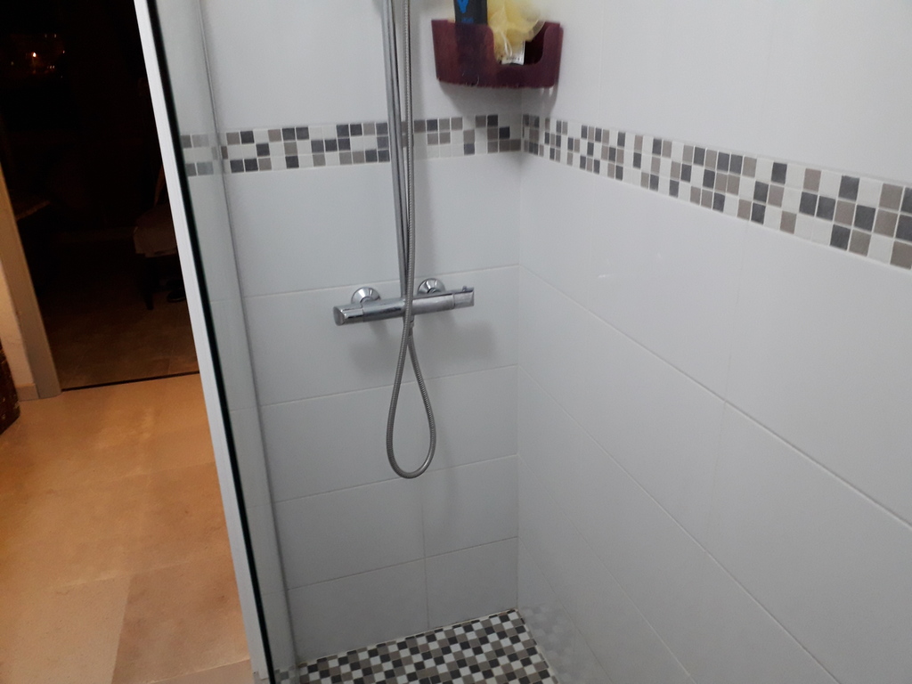 Main bathroom, walk-in shower