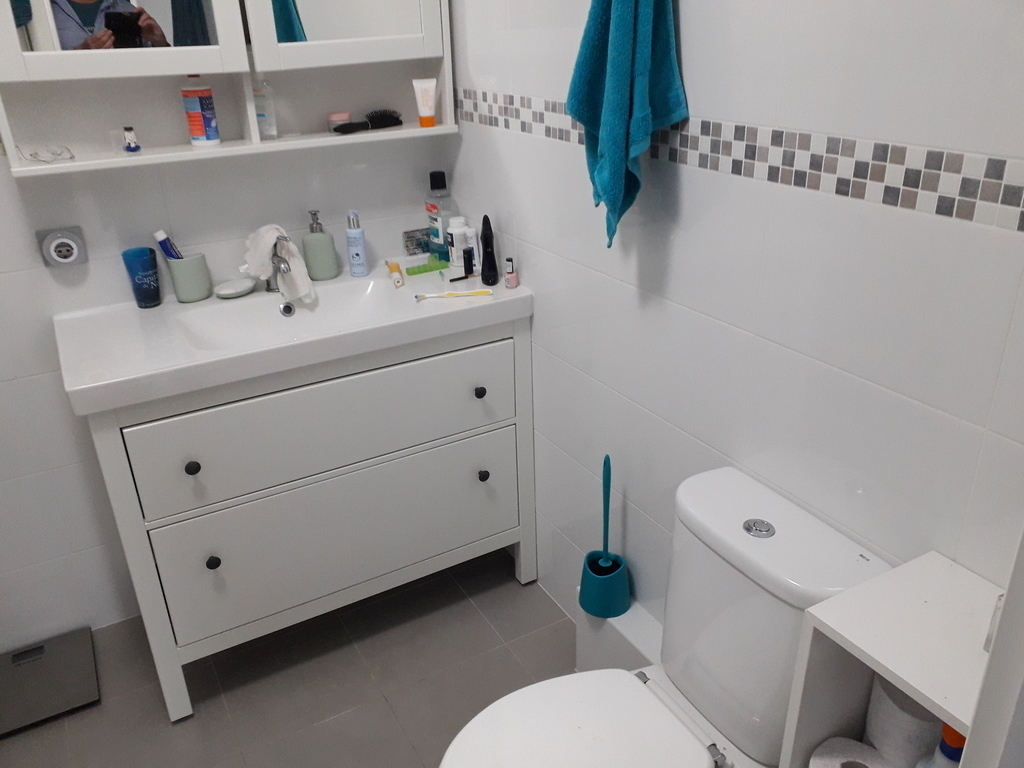 Main bathroom, WC and basin