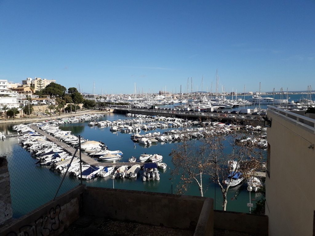 View over the harbour on the way to the supermarket. Photo from 23 December 2019 (!).