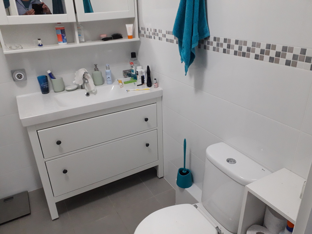 Main bathroom, WC and basin