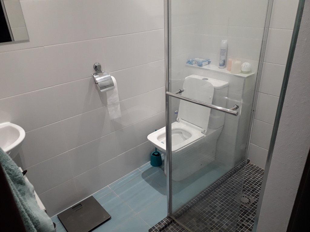 The private (en-suite) bathroom of the main bedroom