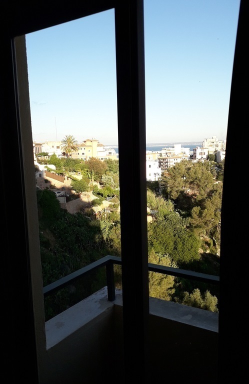 View from the TV room