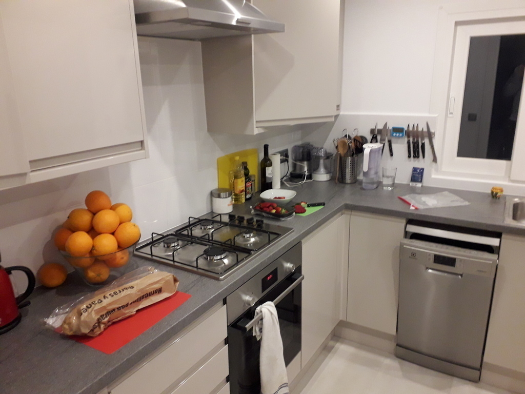 The kitchen (1): gas hob, electric fan oven, and dishwasher