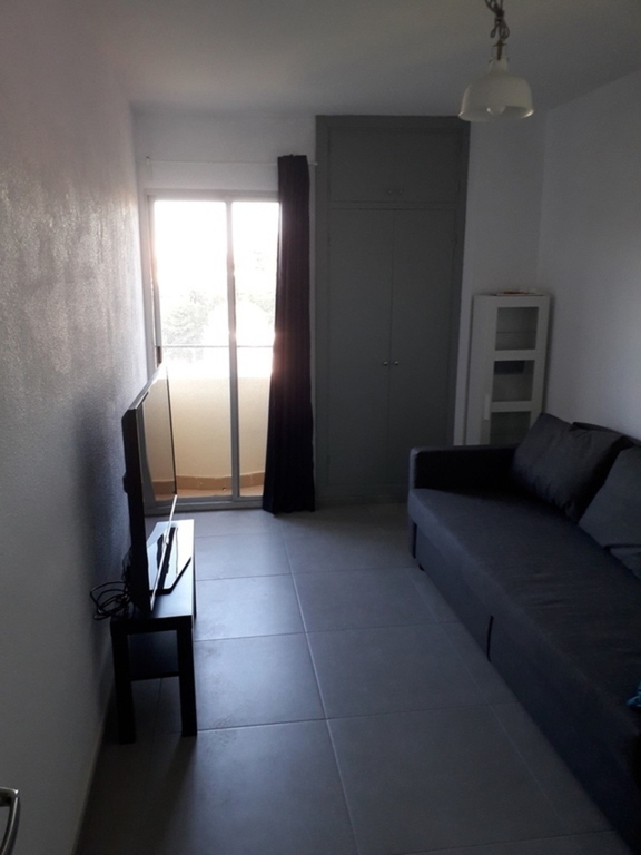 TV room with sofa that converts to a bed