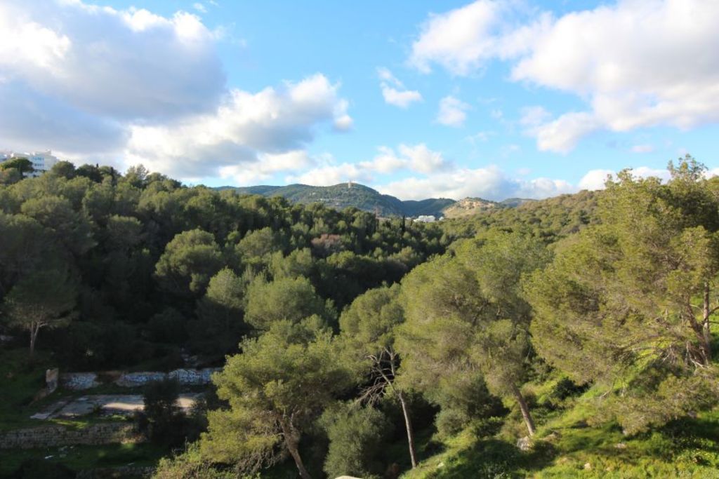 View from the main balcony, looking west