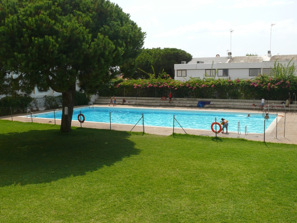 swimming pool in summer
