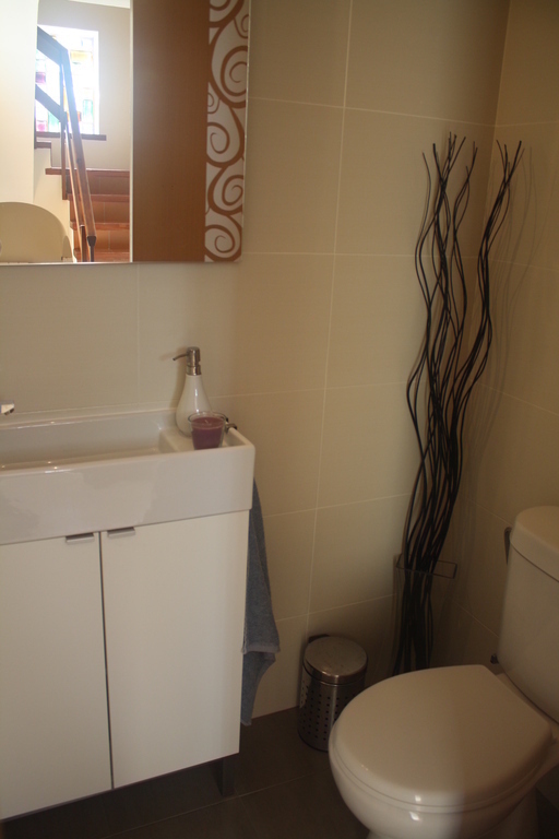 Toilet / Aseo en planta baja  (Downstairs).