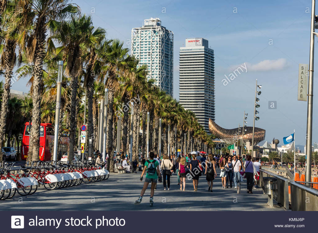Waterfront of Barcelona (20 minuts by car) / Paseo Marítimo de Barcelona (20 minutos en coche) 