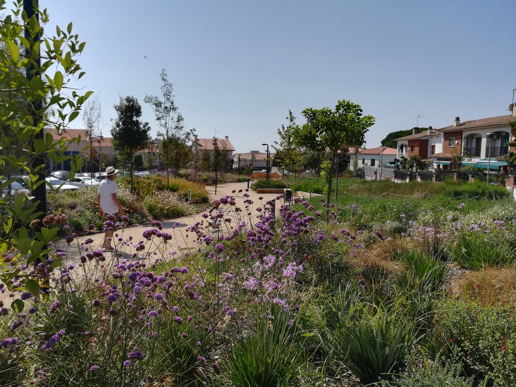 Vecindario, alrededores de la casa.  / Neighborhood, surroundings of the house