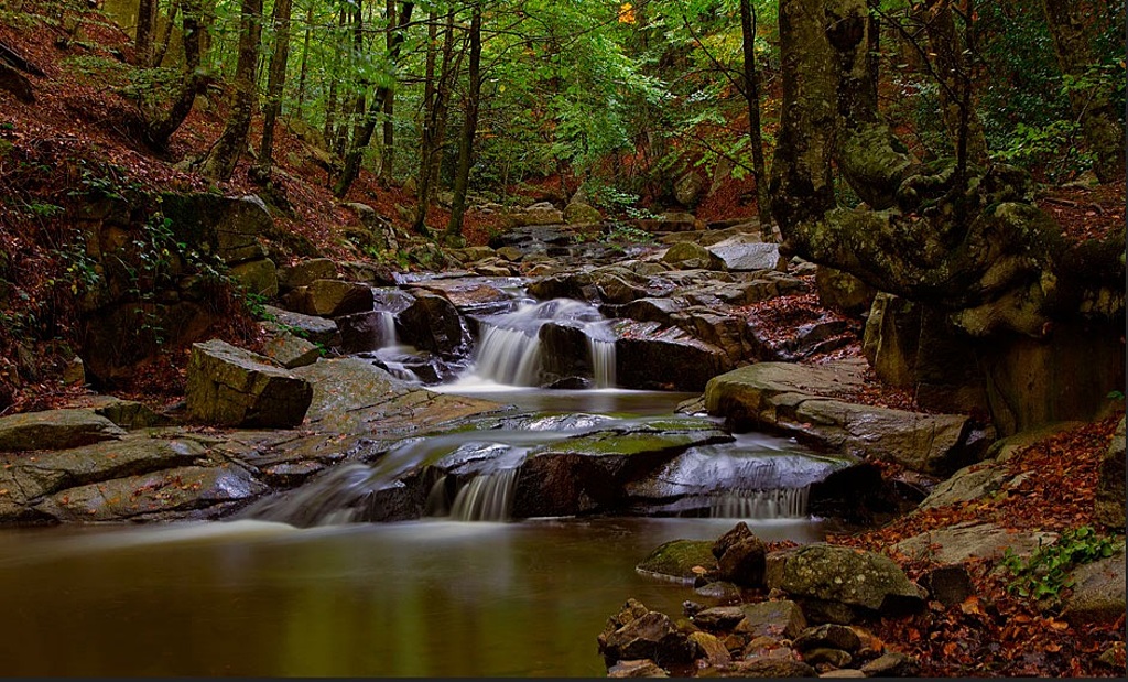 Montseny (40 minuts by car) / Montseny (a 40 minutos en coche)
