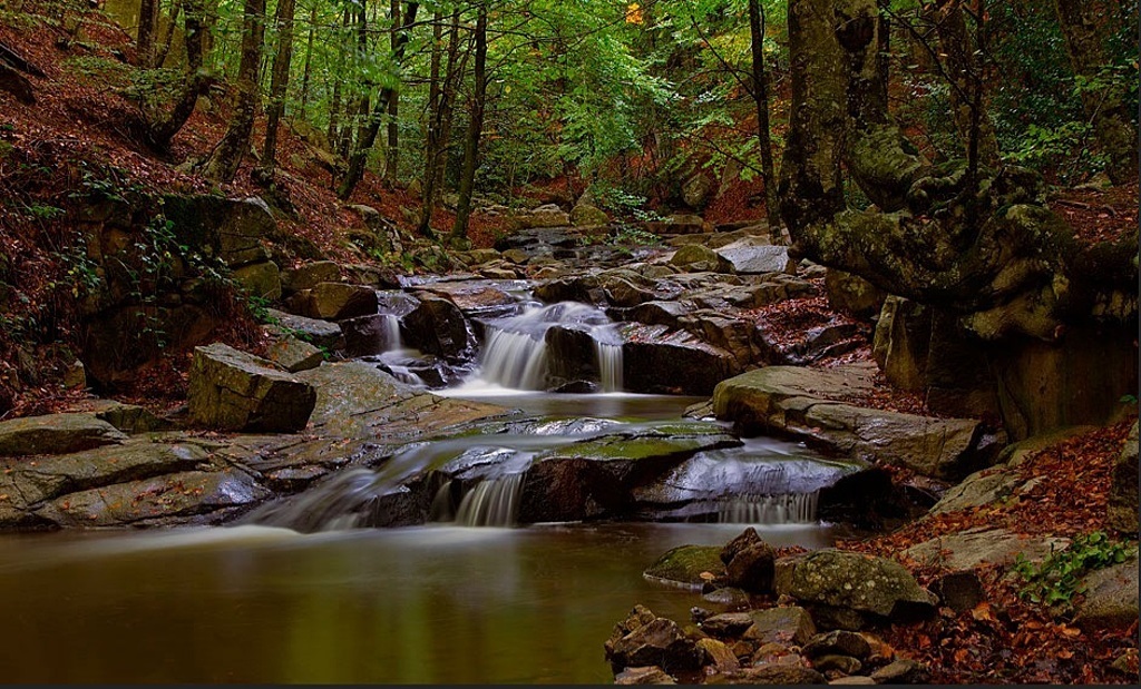 Montseny (40 minuts by car) / Montseny (a 40 minutos en coche)