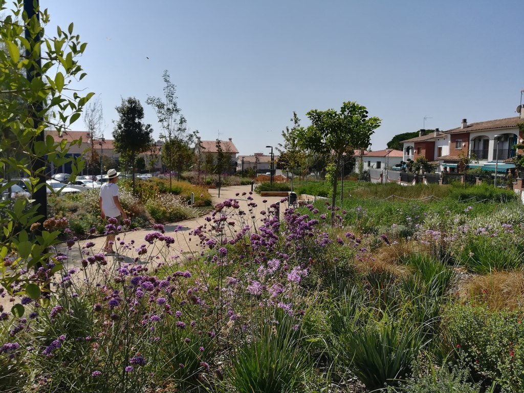 Vecindario, alrededores de la casa.  / Neighborhood, surroundings of the house