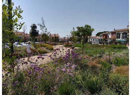 Vecindario, alrededores de la casa.  / Neighborhood, surroundings of the house