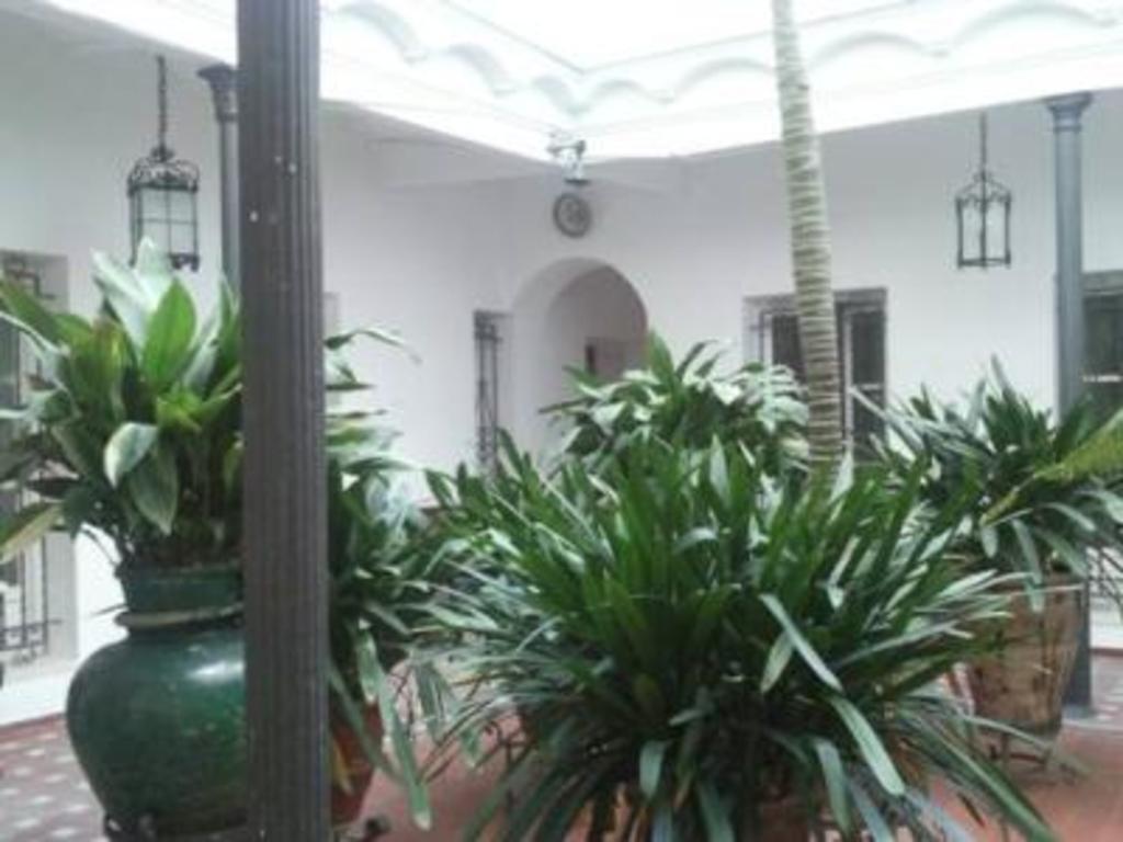 Sanlucar de Barrameda (cadiz) Patio Andaluz