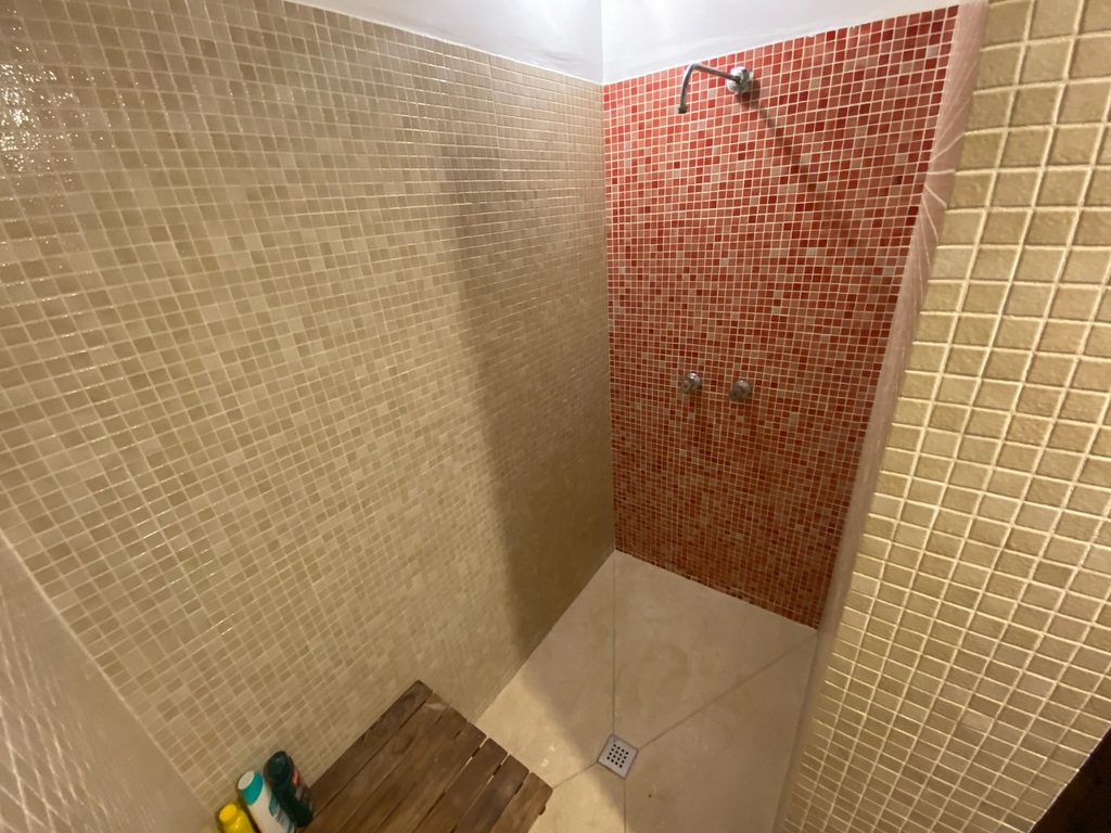 (Downstairs) Bathoom 2, with walk-in shower - 3/3. Note this plastic is for our son to do high-temperature bike training.