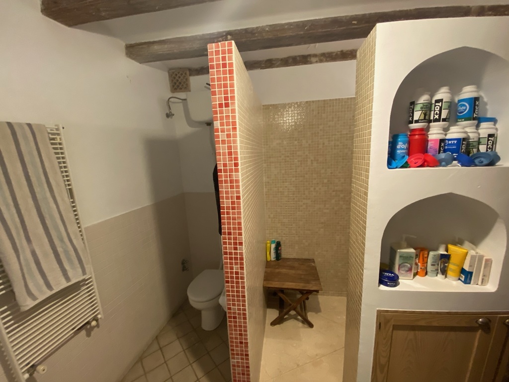 (Downstairs) Bathoom 2, with walk-in shower - 2/3. Note this plastic is for our son to do high-temperature bike training.