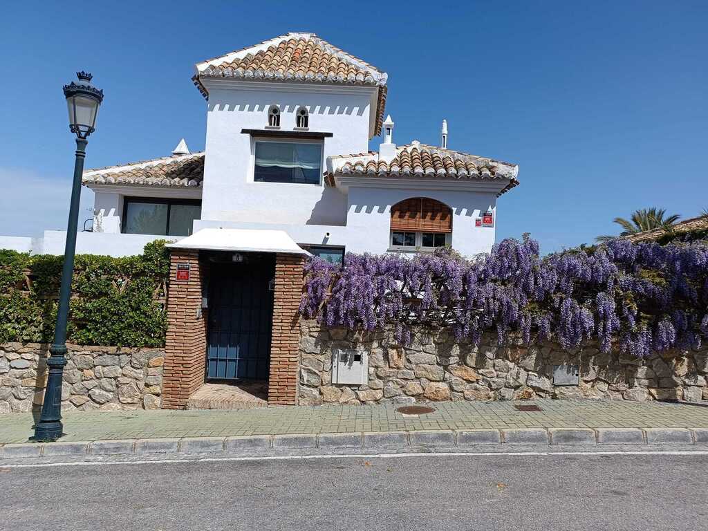 Wisteria in early spring